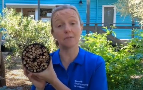 Bee_Hotel.JPG