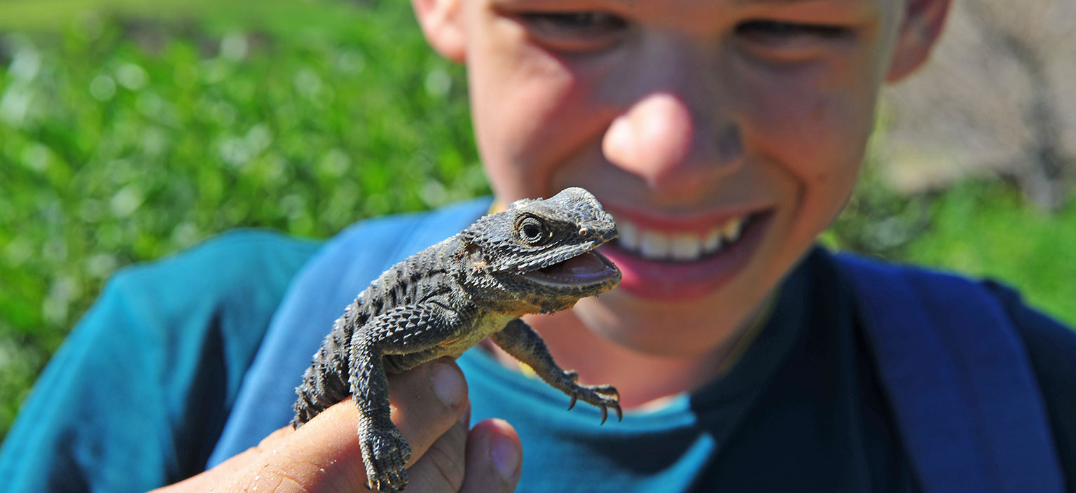 young-zoologist-webtile.jpg